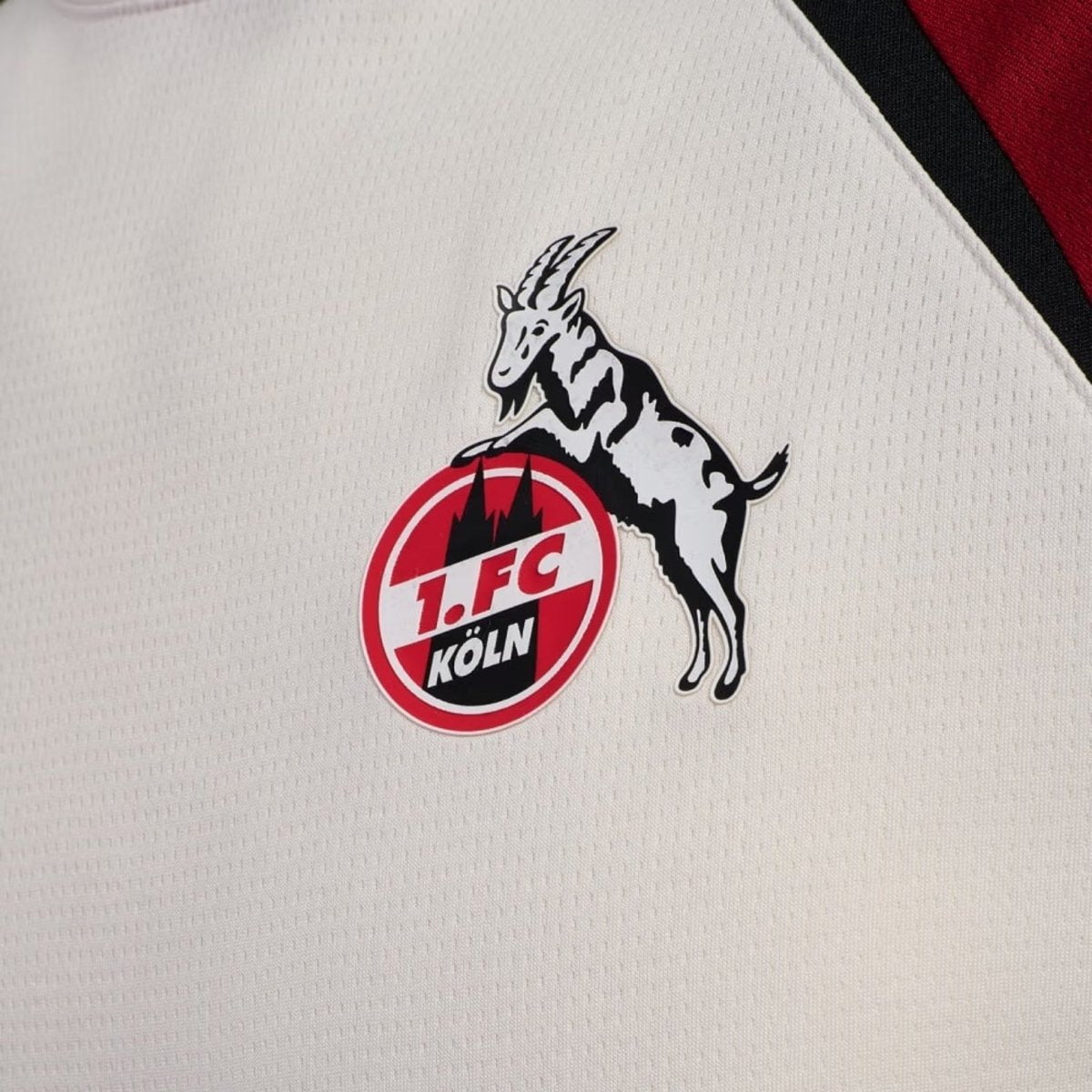 FC Köln Entrenamiento 25/26