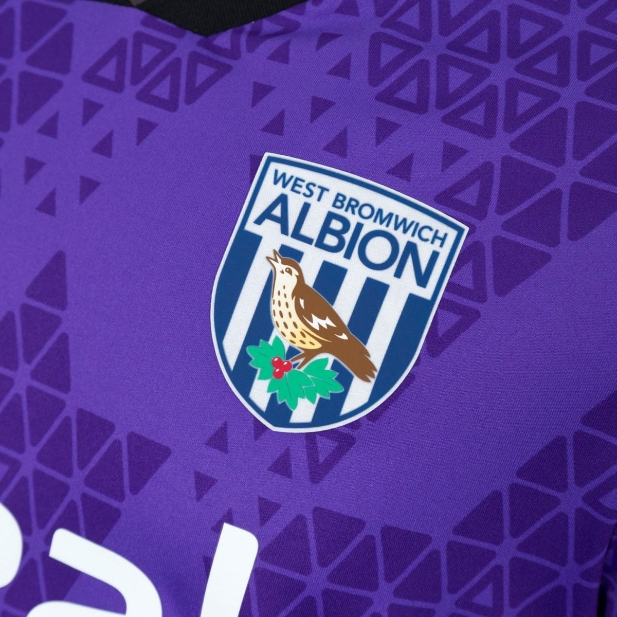 West Bromwich Albion Guardameta 25/26
