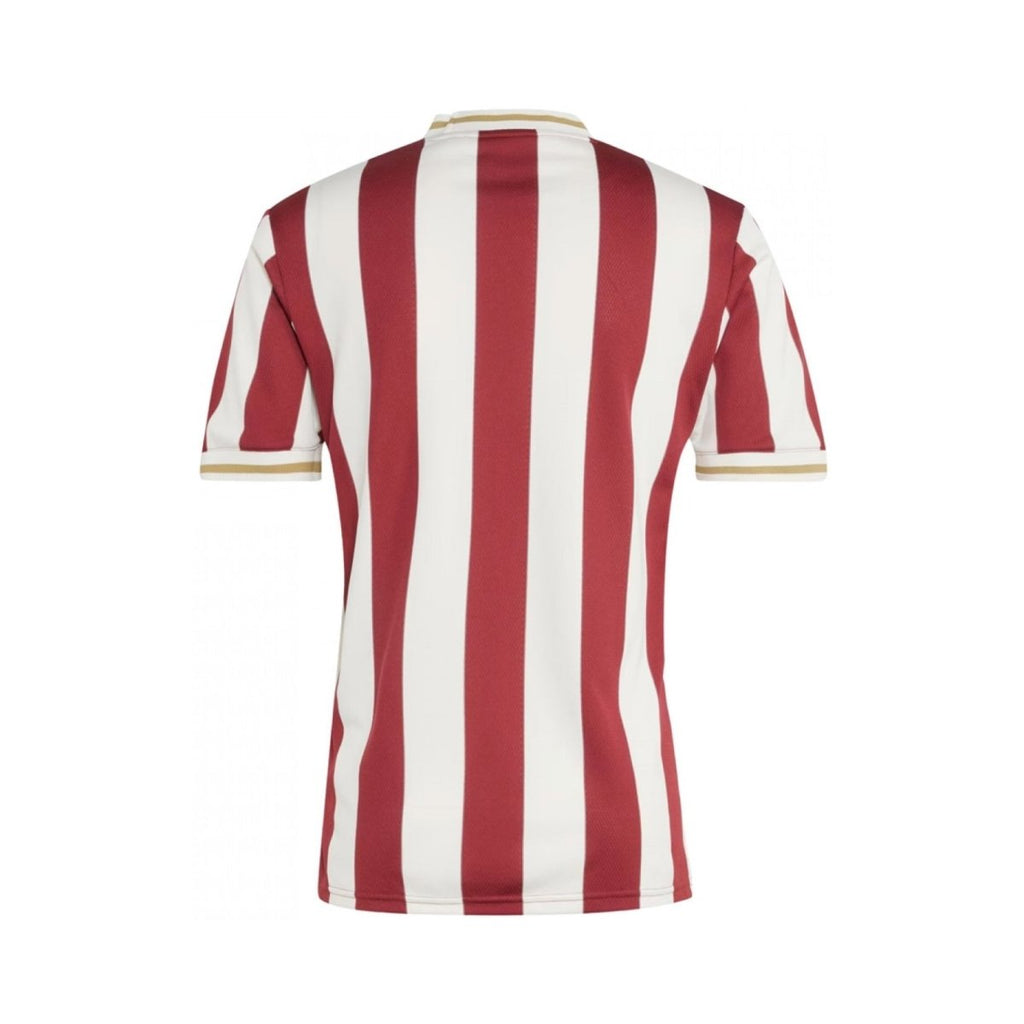 1. FC Nürnberg Edición Especial 24/25