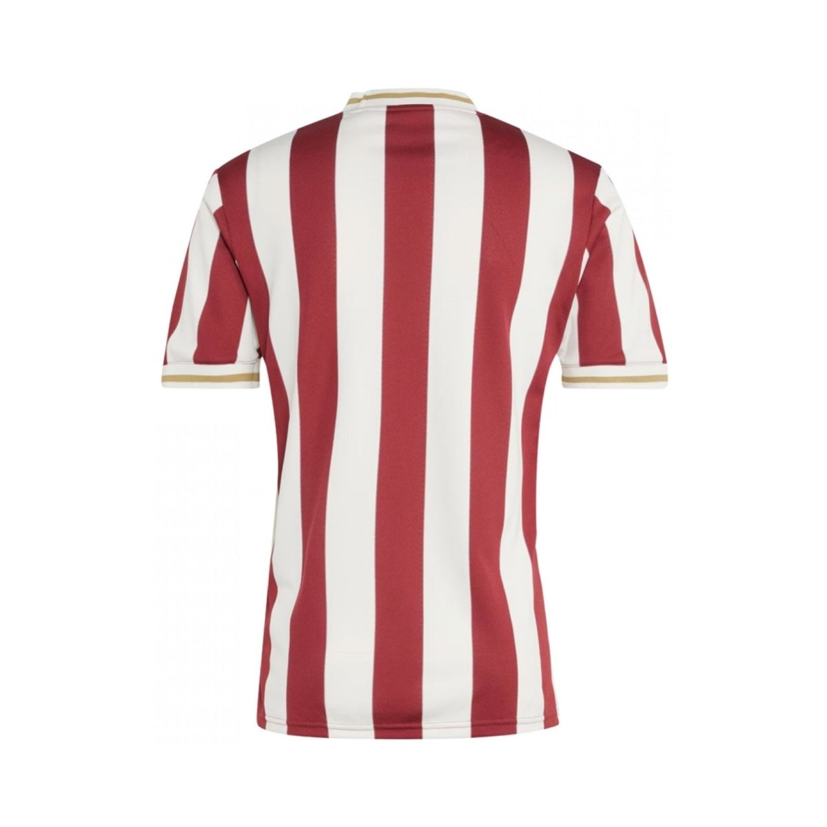 1. FC Nürnberg Edición Especial 24/25